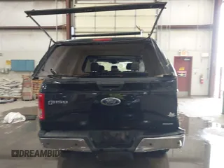 2016 Ford F-150 XLT with VIN 1FTEW1E8XGFC75827, listed as a IAAI auction lot 42393896 with Not provided miles and . Bid and sale history available at DreamBid. Image 16.