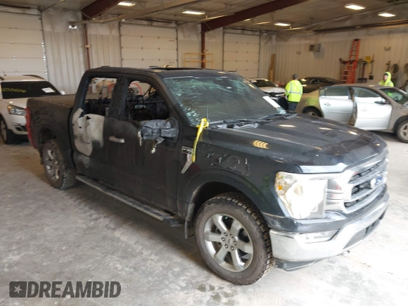 2021 Ford F-150 XL with VIN 1FTFW1E88MFC26805, listed as a IAAI auction lot 42378708 with Not provided miles and . Bid and sale history available at DreamBid. Image 1.