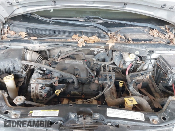 2010 Dodge Grand Caravan SE with VIN 2D4RN4DE8AR173359, listed as a IAAI auction lot 42170689 with 246,553 mi miles and . Bid and sale history available at DreamBid. Image 10.