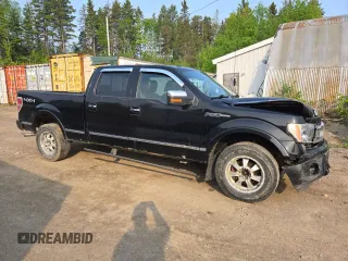 2009 Ford F-150 XL with VIN 1FTPW14V29FB29022, listed as a Copart auction lot 59518745 with 225,701 mi miles and Salvage title. Bid and sale history available at DreamBid. Image 4.
