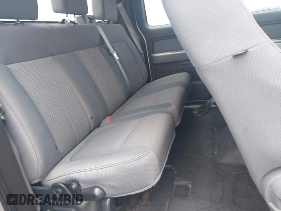 2011 Ford F-150 XL with VIN 1FTEX1CM5BKE08099, listed as a IAAI auction lot 42502519 with 209,489 mi miles and . Bid and sale history available at DreamBid. Image 8.