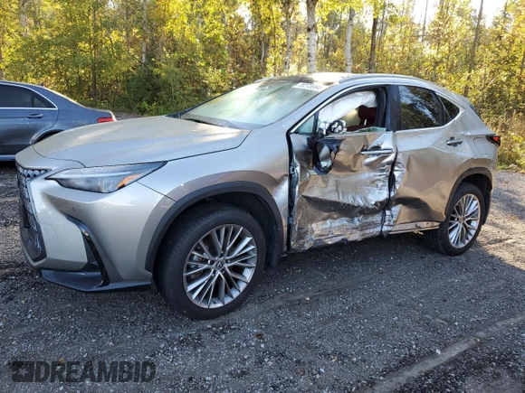 2023 Lexus NX with VIN 2T2GKCEZXPC012007, listed as a Copart auction lot 73273994 with 20,893 mi miles and Salvage Title. Bid and sale history available at carsss.com. Image 1.