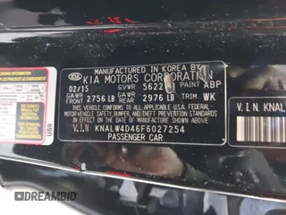 2015 Kia K900 Luxury with VIN KNALW4D46F6027254, listed as a IAAI auction lot 42241959 with 100,308 mi miles and . Bid and sale history available at DreamBid. Image 9.