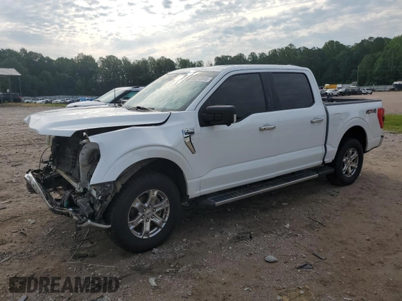 2021 Ford F-150 XL with VIN 1FTFW1E58MFB02149, listed as a Copart auction lot 60213045 with 117,142 mi miles and Salvage title. Bid and sale history available at DreamBid. Image 1.