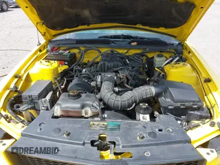 2005 Ford Mustang Deluxe с VIN 1ZVFT80N955161885, выставлен на аукционе IAAI как лот 42520931 с пробегом 240 753 миль миль и . История ставок и продаж доступна на DreamBid. Изображение 10.
