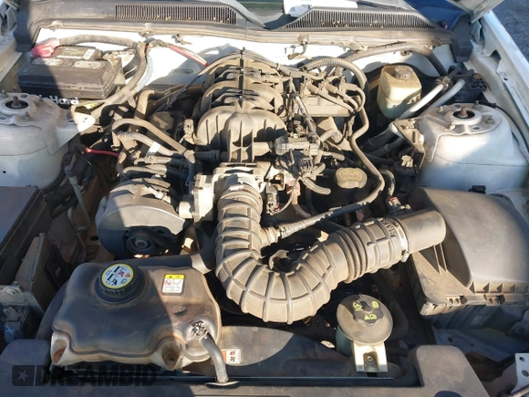 2005 Ford Mustang Deluxe with VIN 1ZVFT80N955183109, listed as a IAAI auction lot 41827964 with 151,774 mi miles. Bid and sale history available at carsss.com. Image 10.