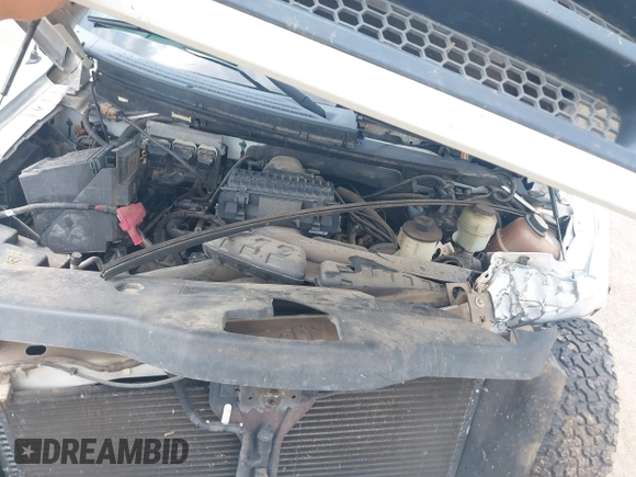 2005 Ford F-150 XLT with VIN 1FTPX14505FA12739, listed as a IAAI auction lot 42138442 with Not provided miles and . Bid and sale history available at DreamBid. Image 10.
