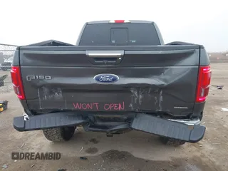 2015 Ford F-150 XLT with VIN 1FTFX1EF1FFB62489, listed as a IAAI auction lot 41503088 with 133,658 mi miles. Bid and sale history available at carsss.com. Image 17.