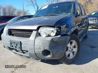 2007 Ford Escape XLT with VIN 1FMYU03137KA69934, listed as a IAAI auction lot 41007739 with 193,956 mi miles and . Bid and sale history available at DreamBid. Image 6.