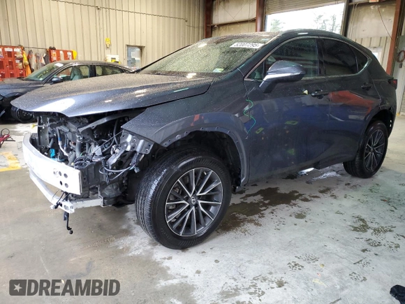 2022 Lexus NX 350 Premium with VIN 2T2GGCEZ7NC009841, listed as a Copart auction lot 52007295 with 34,121 mi miles and Salvage Title. Bid and sale history available at DreamBid. Image 1.