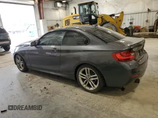 2015 BMW 2 Series 228i with VIN WBA1F5C59FV343633, listed as a Copart auction lot 60329925 with 123,644 mi miles and Non repairable. Bid and sale history available at DreamBid. Image 2.