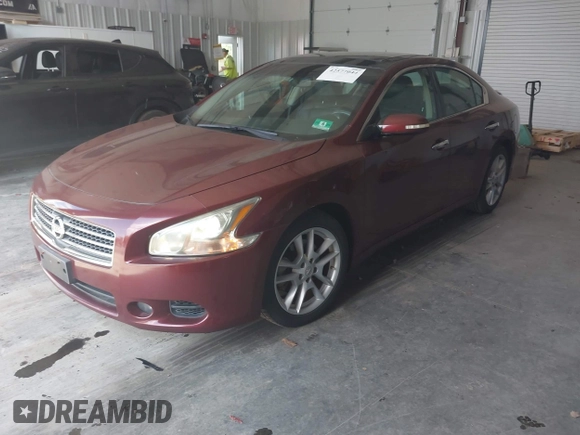 2010 Nissan Maxima S with VIN 1N4AA5AP2AC824663, listed as a IAAI auction lot 42577044 with 127,273 mi miles and . Bid and sale history available at DreamBid. Image 2.