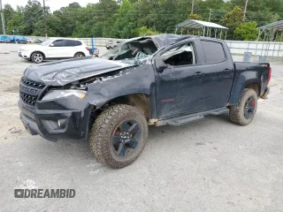 2019 Chevrolet Colorado 4WD LT with VIN 1GCGTCENXK1317096, listed as a Copart auction lot 58917405 with Not provided miles and Salvage title. Bid and sale history available at DreamBid. Image 1.