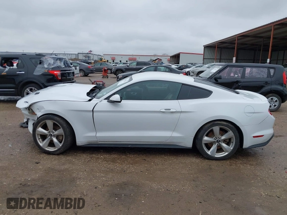 2019 Ford Mustang EcoBoost with VIN 1FA6P8TH6K5201919, listed as a IAAI auction lot 41556322 with 100,568 mi miles and . Bid and sale history available at carsss.com. Image 13.