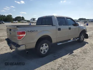 2010 Ford F-150 XL with VIN 1FTFW1EV7AFB20105, listed as a Copart auction lot 57966625 with 306,781 mi miles and Salvage title. Bid and sale history available at DreamBid. Image 3.