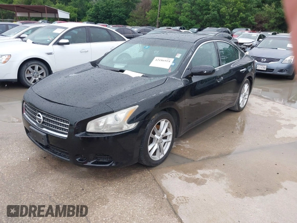 2009 Nissan Maxima SV with VIN 1N4AA51E19C806374, listed as a IAAI auction lot 42186924 with 215,930 mi miles and . Bid and sale history available at DreamBid. Image 2.