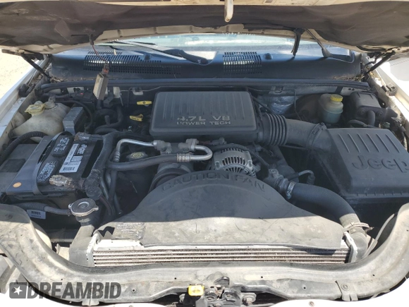 1999 Jeep Grand Cherokee Limited with VIN 1J4GW68N5XC549051, listed as a Copart auction lot 64376325 with 205,276 mi miles and Clean title. Bid and sale history available at DreamBid. Image 12.