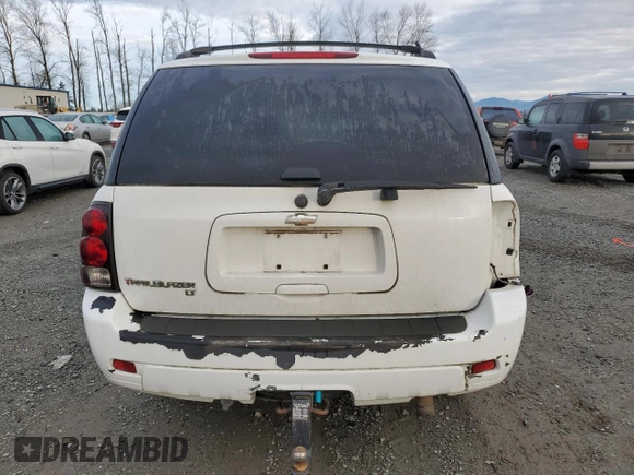 2009 Chevrolet TrailBlazer LT w/2LT with VIN 1GNDT33SX92103331, listed as a Copart auction lot 41676575 with 0 mi miles and Salvage Title. Bid and sale history available at carsss.com. Image 6.