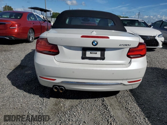 2020 BMW 2 Series 230i with VIN WBA2M7C02L7D87129, listed as a Copart auction lot 73876264 with 0 mi miles and Salvage Title. Bid and sale history available at carsss.com. Image 6.