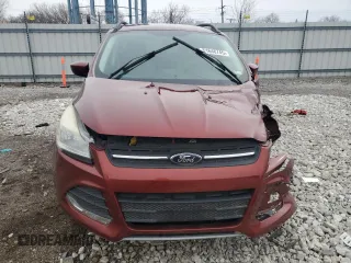 2014 Ford Escape SE with VIN 1FMCU0GX1EUB79696, listed as a Copart auction lot 51648745 with Not Provided miles and Salvage Title. Bid and sale history available at carsss.com. Image 5.