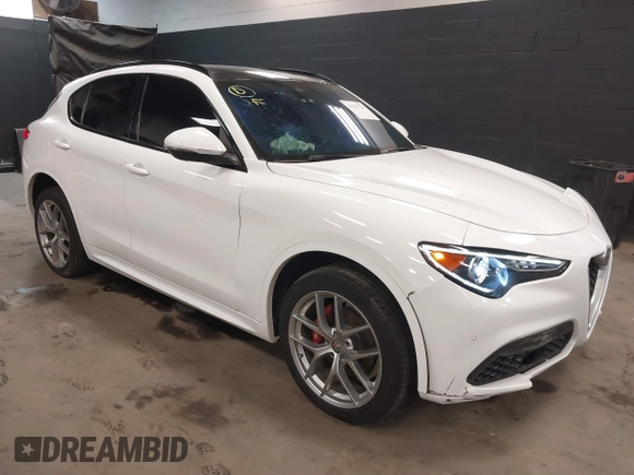 2020 Alfa Romeo Stelvio Ti z VIN ZASPAKBN9L7C92041, wystawiony jako IAAI lot #41329129 z przebiegiem 47 977 mil mil oraz . Historia ofert i sprzedaży dostępna na DreamBid. Obrazek 1.