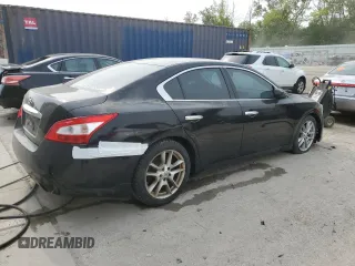 2010 Nissan Maxima SV with VIN 1N4AA5AP3AC818127, listed as a Copart auction lot 58318415 with Not provided miles and Clean title. Bid and sale history available at DreamBid. Image 3.