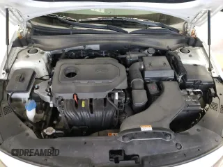 2018 Kia Optima LX with VIN KNAGT4L35J5216351, listed as a Copart auction lot 50174385 with 50,774 mi miles and Salvage Title. Bid and sale history available at DreamBid. Image 13.