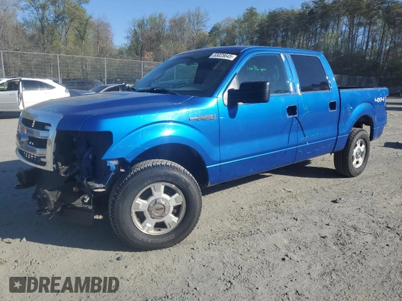 2013 Ford F-150 XL with VIN 1FTFW1EF3DFA87410, listed as a Copart auction lot 53025645 with 219,758 mi miles and Salvage Title. Bid and sale history available at DreamBid. Image 1.