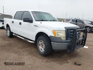 2009 Ford F-150 XL z VIN 1FTRW14869FB13294, wystawiony jako IAAI lot #42100120 z przebiegiem 168 754 mil mil oraz . Historia ofert i sprzedaży dostępna na DreamBid. Obrazek 1.