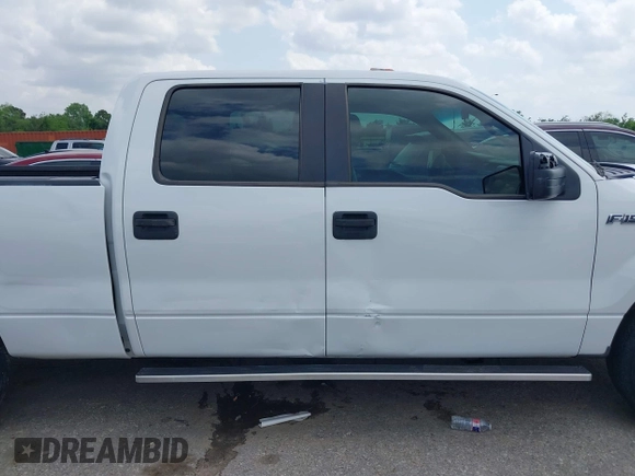 2010 Ford F-150 XL with VIN 1FTEW1C80AKE48904, listed as a IAAI auction lot 42110005 with 255,883 mi miles. Bid and sale history available at carsss.com. Image 13.