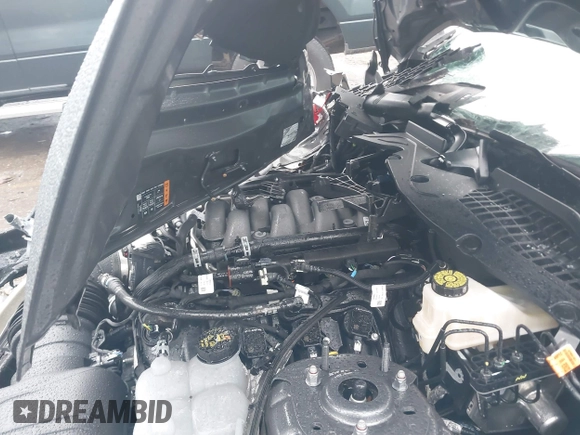2024 Ford Mustang GT with VIN 1FA6P8CFXR5435389, listed as a IAAI auction lot 41450518 with Not provided miles and . Bid and sale history available at DreamBid. Image 10.