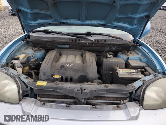 2004 Hyundai Santa Fe GLS with VIN KM8SC73D84U836947, listed as a Copart auction lot 43819265 with 153,487 mi miles and Salvage Title. Bid and sale history available at carsss.com. Image 12.