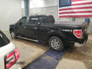 2011 Ford F-150 XLT with VIN 1FTFW1ET3BKE02555, listed as a Copart auction lot 51791675 with 206,065 mi miles and Salvage Title. Bid and sale history available at carsss.com. Image 2.