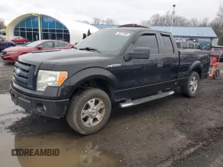 2009 Ford F-150 STX with VIN 1FTRX14W69FB17244, listed as a Copart auction lot 49277065 with 184,481 mi miles and Salvage Title. Bid and sale history available at carsss.com. Image 1.