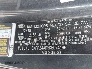 2019 Kia Forte LXS with VIN 3KPF24AD5KE074196, listed as a IAAI auction lot 42137376 with 109,067 mi miles and . Bid and sale history available at DreamBid. Image 9.