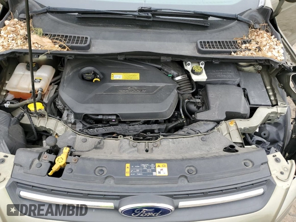 2013 Ford Escape SE with VIN 1FMCU0GX0DUC83899, listed as a Copart auction lot 48912205 with 102,476 mi miles and Salvage Title. Bid and sale history available at DreamBid. Image 12.