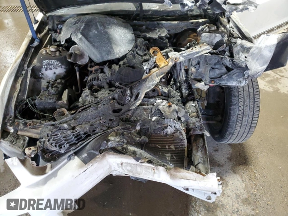 2007 Ford Mustang Deluxe with VIN 1ZVHT80NX75328511, listed as a Copart auction lot 59463055 with Not provided miles and Salvage title. Bid and sale history available at DreamBid. Image 11.
