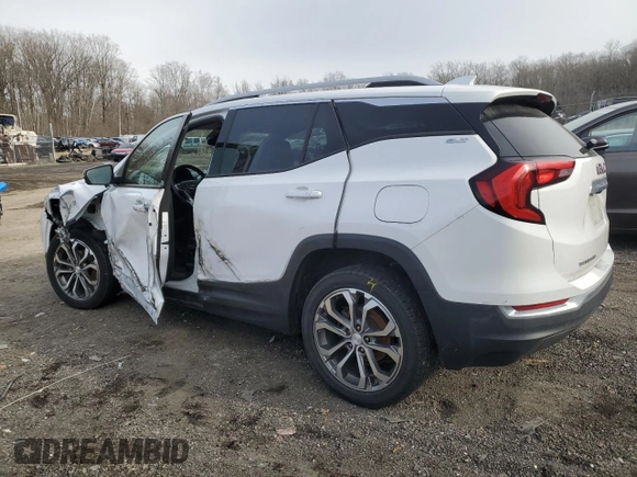 2020 GMC Terrain SLT with VIN 3GKALPEV6LL250007, listed as a Copart auction lot 45718435 with 101,516 mi miles and Salvage title. Bid and sale history available at DreamBid. Image 2.