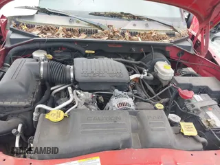 2004 Dodge Dakota SLT with VIN 1D7HL48N84S717599, listed as a IAAI auction lot 42132810 with 305,900 mi miles and . Bid and sale history available at carsss.com. Image 10.