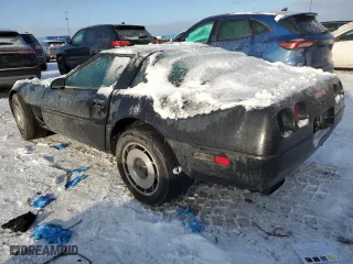 1994 Chevrolet Corvette with VIN 1G1YY22P1R5117578, listed as a Copart auction lot 88750435 with 0 mi miles and Clean Title. Bid and sale history available at carsss.com. Image 2.