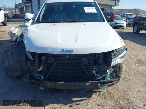 2018 Jeep Grand Cherokee Summit with VIN 1C4RJFJT4JC212819, listed as a IAAI auction lot 41975614 with 88,112 mi miles and . Bid and sale history available at DreamBid. Image 6.