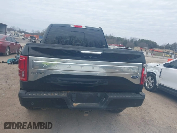 2015 Ford F-150 XLT with VIN 1FTEW1EG4FFC91835, listed as a IAAI auction lot 41585505 with 142,702 mi miles. Bid and sale history available at carsss.com. Image 17.