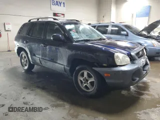 2004 Hyundai Santa Fe with VIN KM8SB12B84U832879, listed as a Copart auction lot 43622825 with 194,945 mi miles and Salvage Title. Bid and sale history available at carsss.com. Image 4.