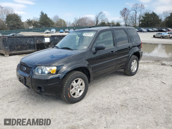 2006 Ford Escape Limited with VIN 1FMCU04196KA18798, listed as a Copart auction lot 50420725 with 113,425 mi miles and Clean title. Bid and sale history available at DreamBid. Image 1.