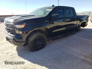 2024 Chevrolet Silverado 1500 Custom Trail Boss with VIN 3GCUDCED4RG375840, listed as a Copart auction lot 80574764 with 9,068 mi miles and Salvage Title. Bid and sale history available at carsss.com. Image 1.