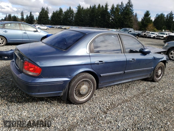 2002 Hyundai Sonata with VIN KMHWF25S12A520554, listed as a Copart auction lot 43483194 with 131,409 mi miles and Salvage Title. Bid and sale history available at carsss.com. Image 3.