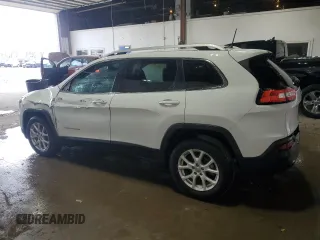 2017 Jeep Cherokee Latitude with VIN 1C4PJLCB9HD233423, listed as a Copart auction lot 53133315 with 113,150 mi miles and Salvage Title. Bid and sale history available at carsss.com. Image 2.