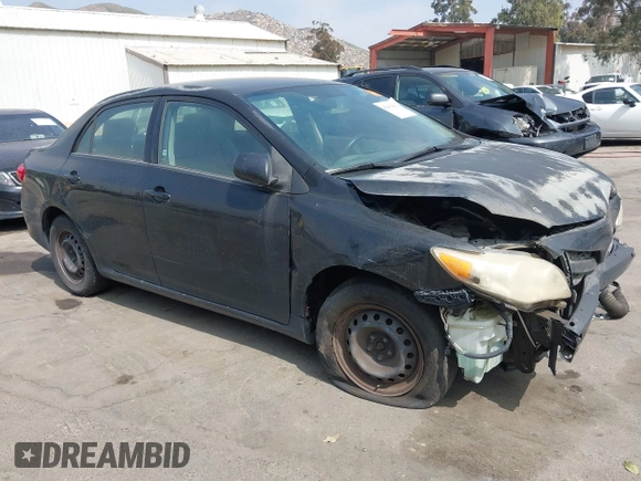2011 Toyota Corolla L with VIN 2T1BU4EE8BC685494, listed as a IAAI auction lot 42182682 with Not Provided miles and . Bid and sale history available at DreamBid. Image 1.