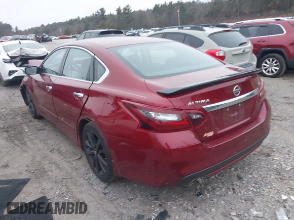 2017 Nissan Altima SV with VIN 1N4AL3AP5HC241173, listed as a IAAI auction lot 41161820 with Not Provided miles and . Bid and sale history available at DreamBid. Image 3.