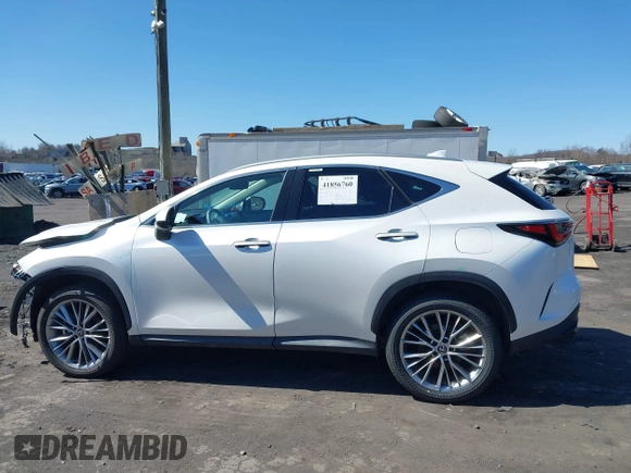 2025 Lexus NX with VIN 2T2GGCEZ1SC067262, listed as a IAAI auction lot 41856760 with 4,217 mi miles. Bid and sale history available at carsss.com. Image 14.